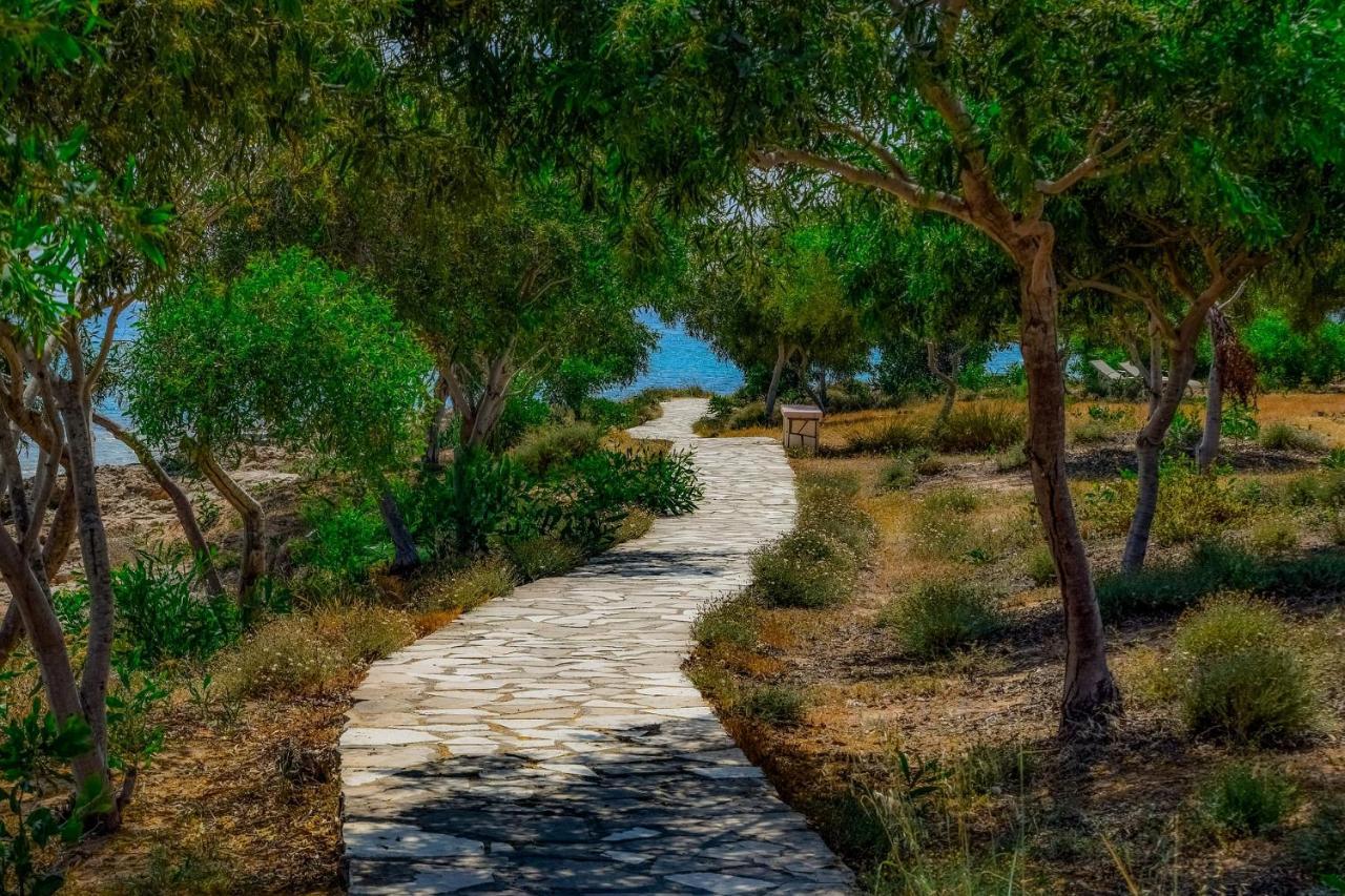 Chrysomare Beach Hotel & Resort Ayia Napa Esterno foto A path in the park